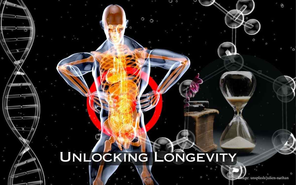 Unlocking Longevity